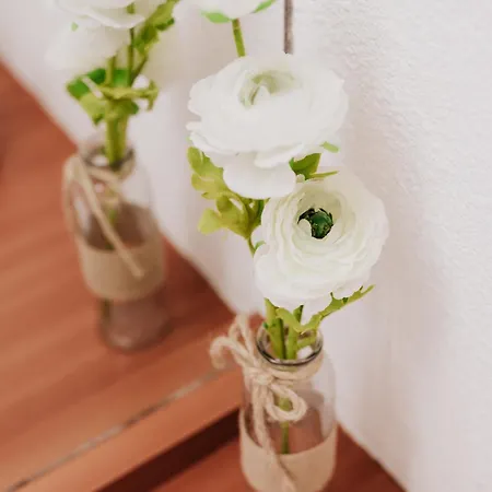 Le Cocon De - Parking - Checkin Autonome דירה *