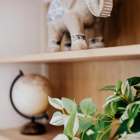 Le Cocon De - Parking - Checkin Autonome דירה Lespinasse